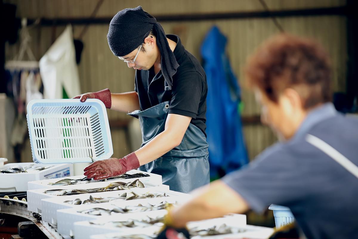 愛媛の特産品が生んだ みかん魚 愛媛百貨選 愛媛の逸品を見つけるポータルサイト